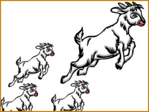 Por donde salta la cabra, salta el cabrito