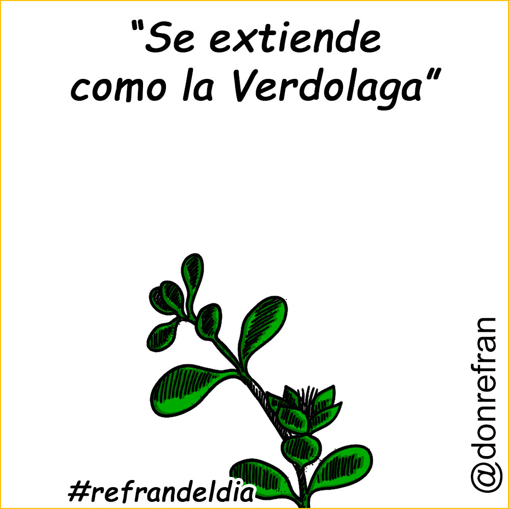 “Se extiende como la Verdolaga”