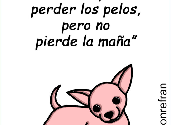 “El zorro podrá perder los pelos, pero no pierde la maña”