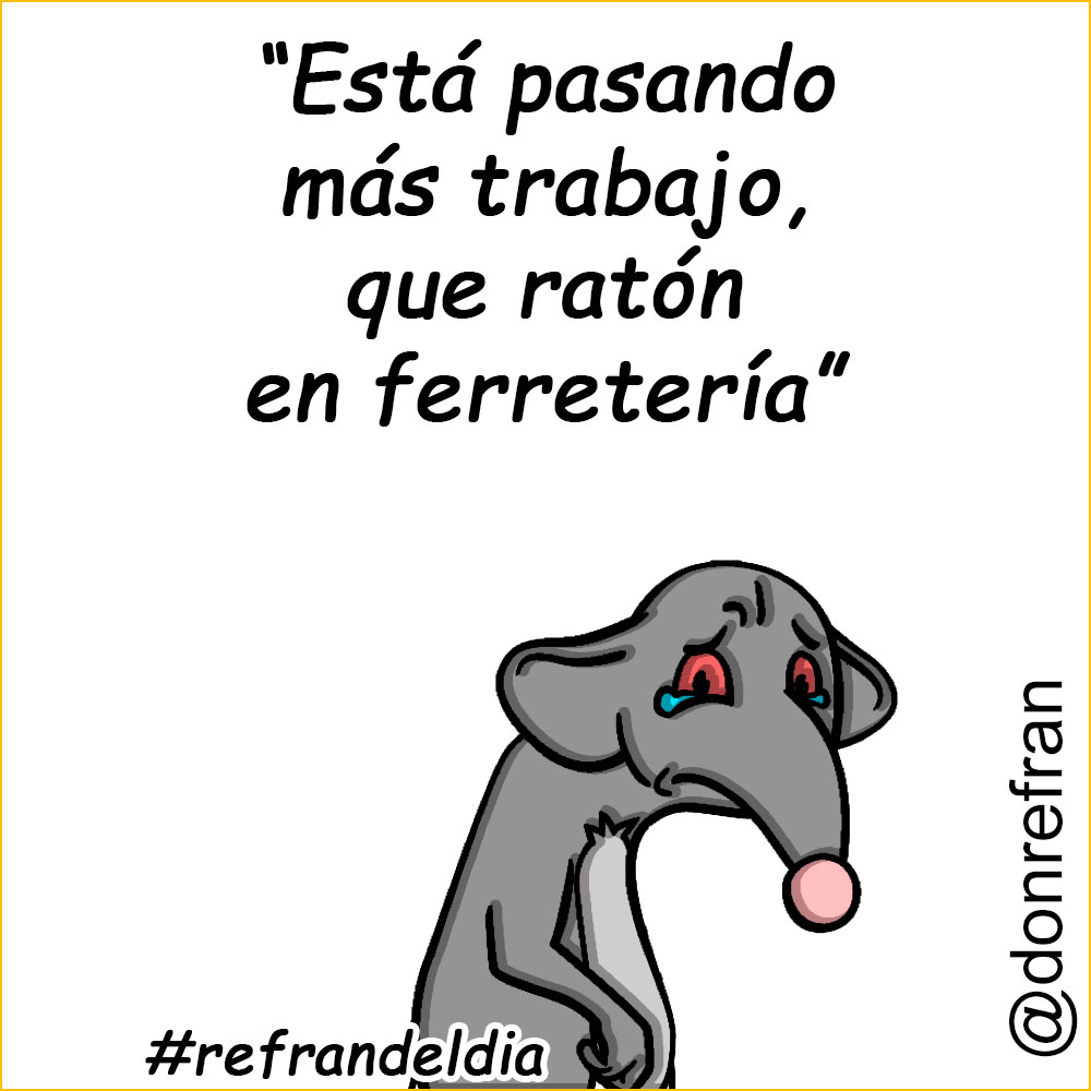 “Está pasando más trabajo, que ratón en ferretería”