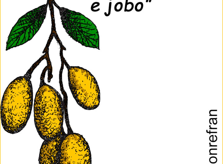 “Fresco e jobo”