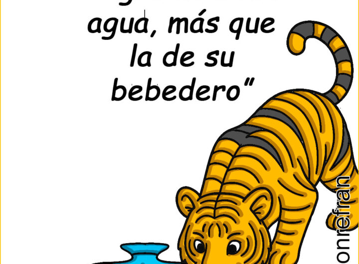 “Tigre no bebe agua, más que la de su bebedero”