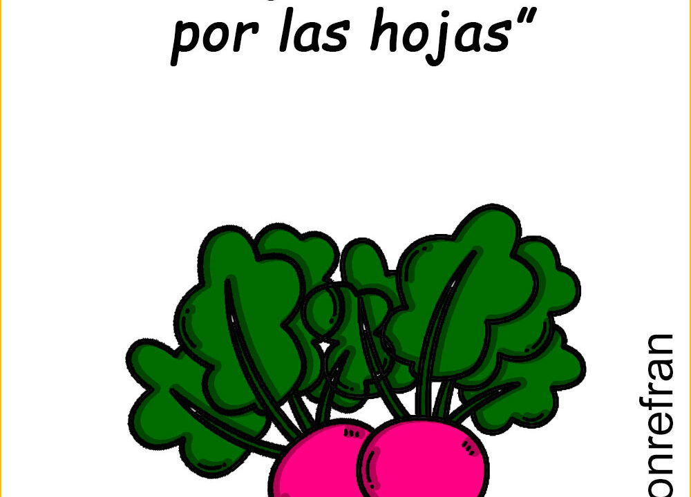 “No cojas el rábano por las hojas”
