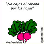 “No cojas el rábano por las hojas”