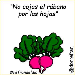 “No cojas el rábano por las hojas”