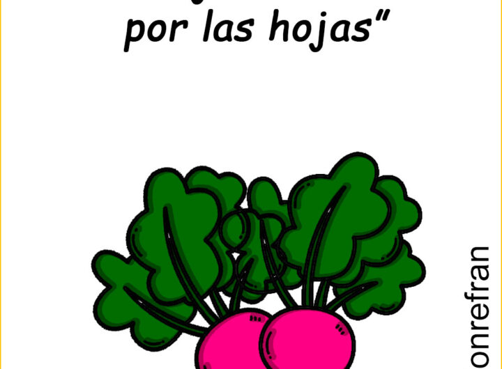 “No cojas el rábano por las hojas”