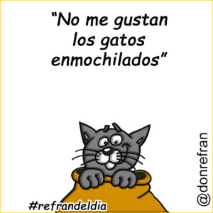 “No me gustan los gatos enmochilados”