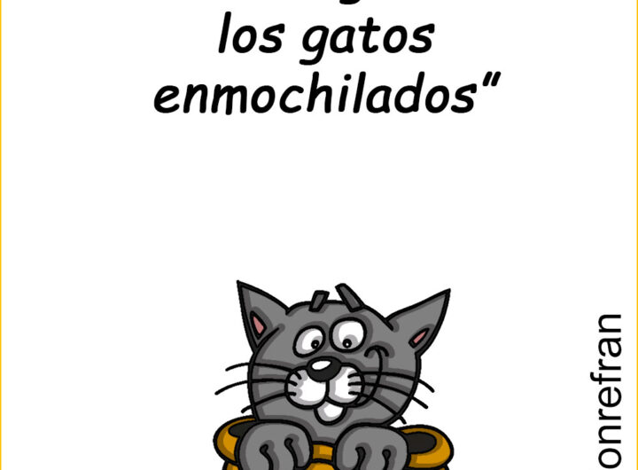 “No me gustan los gatos enmochilados”