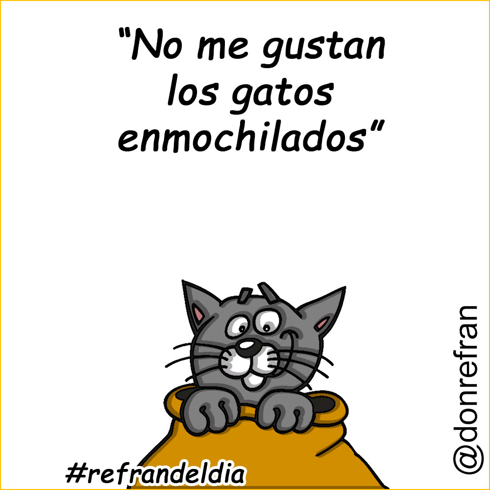 “No me gustan los gatos enmochilados”