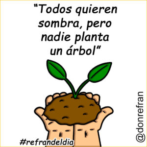 “Todos quieren sombra, pero nadie planta un árbol”