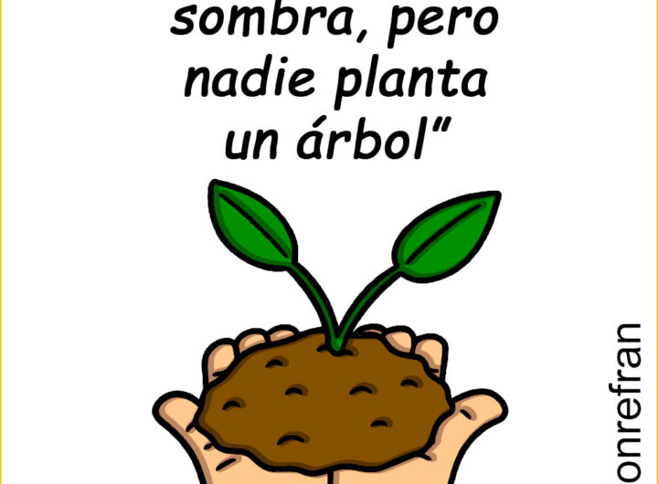 “Todos quieren sombra, pero nadie planta un árbol”