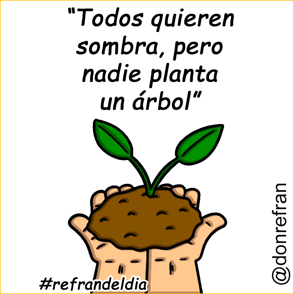 “Todos quieren sombra, pero nadie planta un árbol”