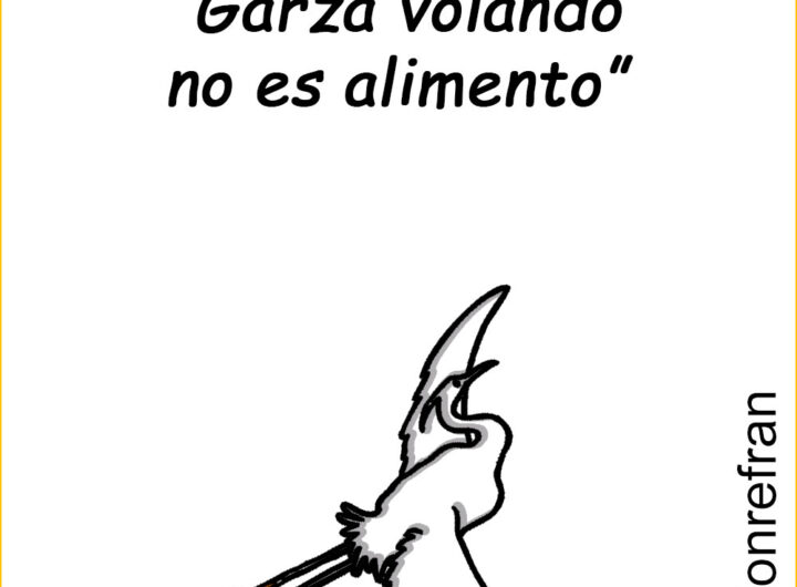 “Garza volando, no es alimento”