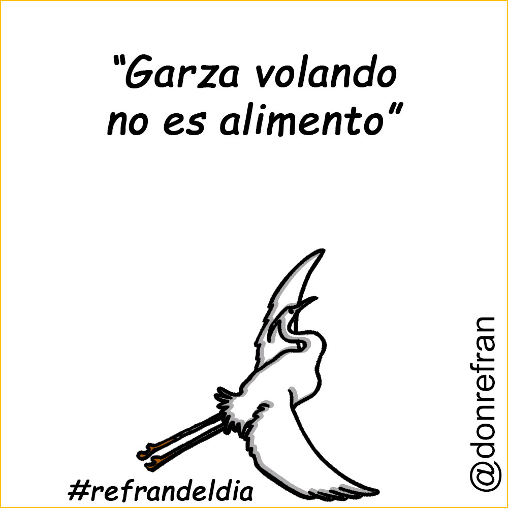 “Garza volando, no es alimento”