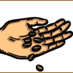 Todos quieren sombra…