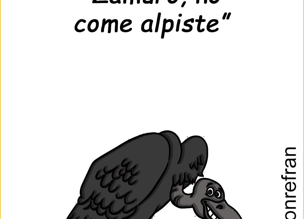 “Zamuro no come alpiste”