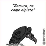 “Zamuro no come alpiste”