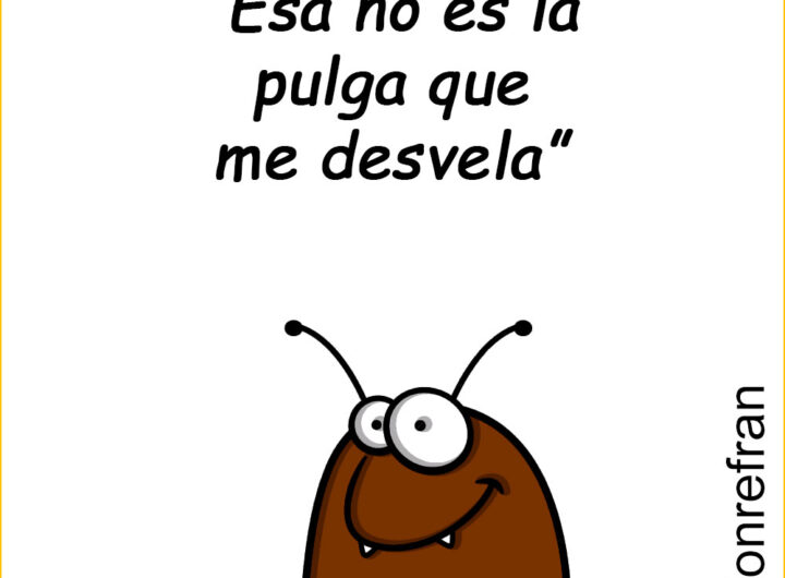 “Esa no es la pulga que me desvela”