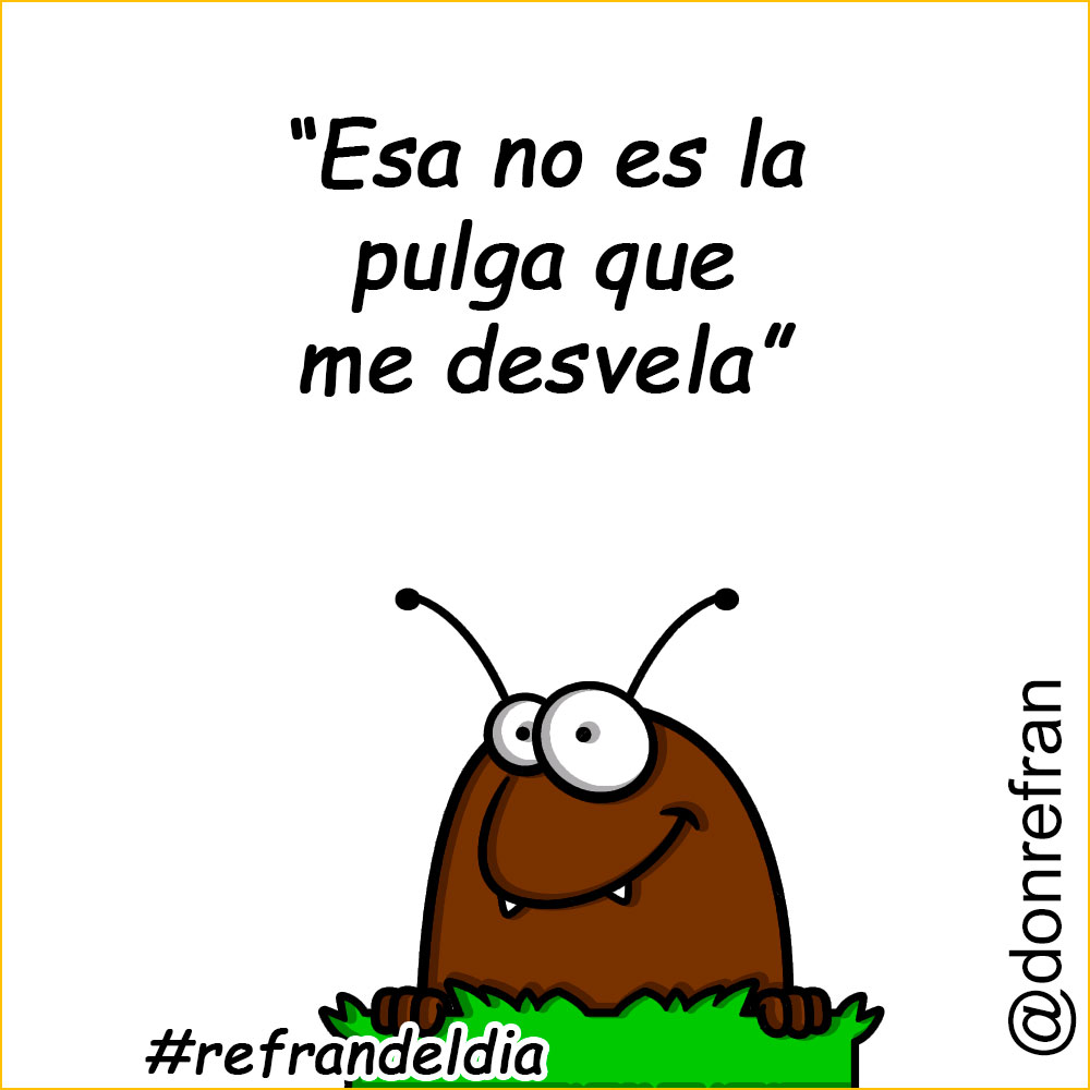 “Esa no es la pulga que me desvela”