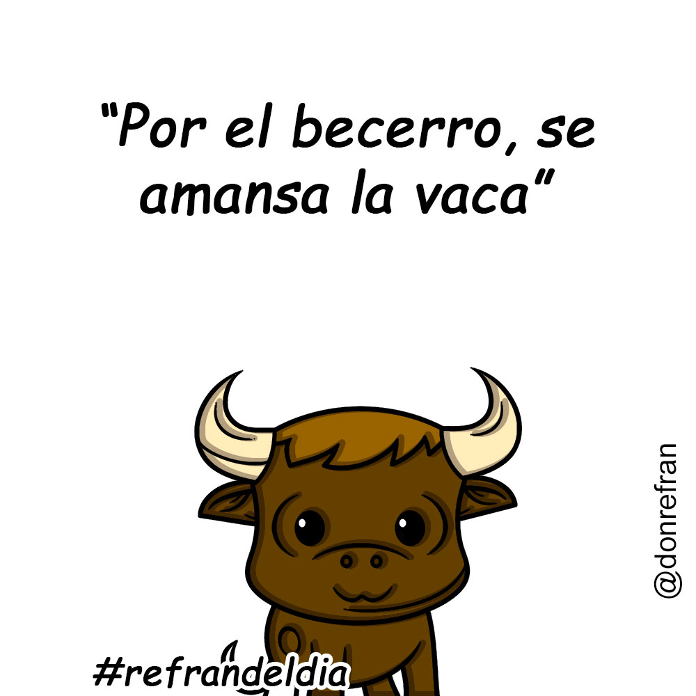 “Por el becerro, se amansa la vaca”