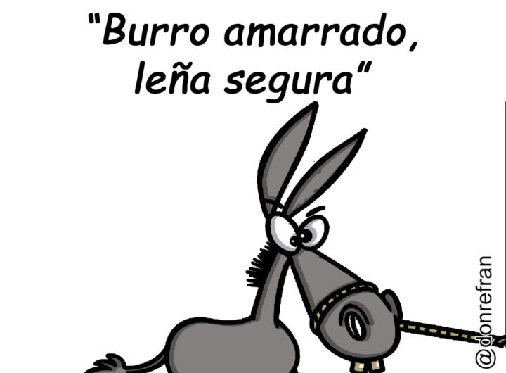“Burro amarrado, leña segura”