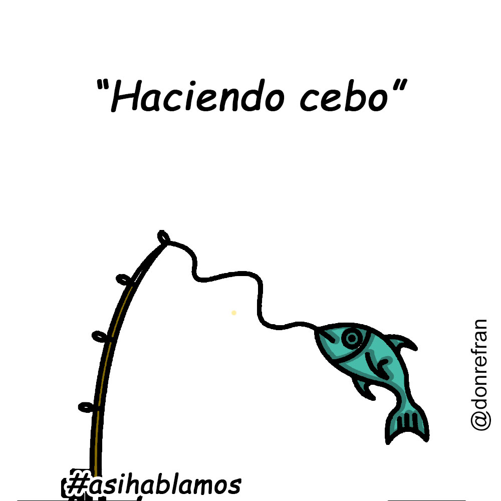 “Haciendo cebo”