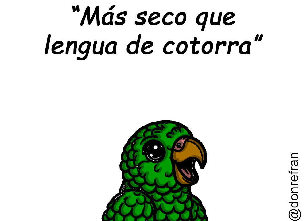 “Más seco que lengua de cotorra”