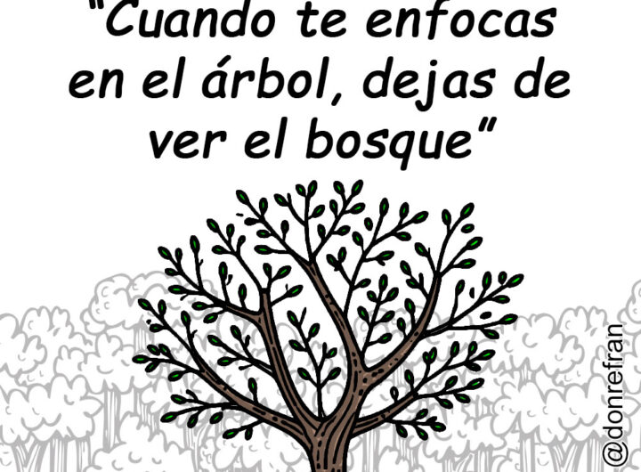 “Cuando te enfocas en el árbol, dejas de ver el bosque”