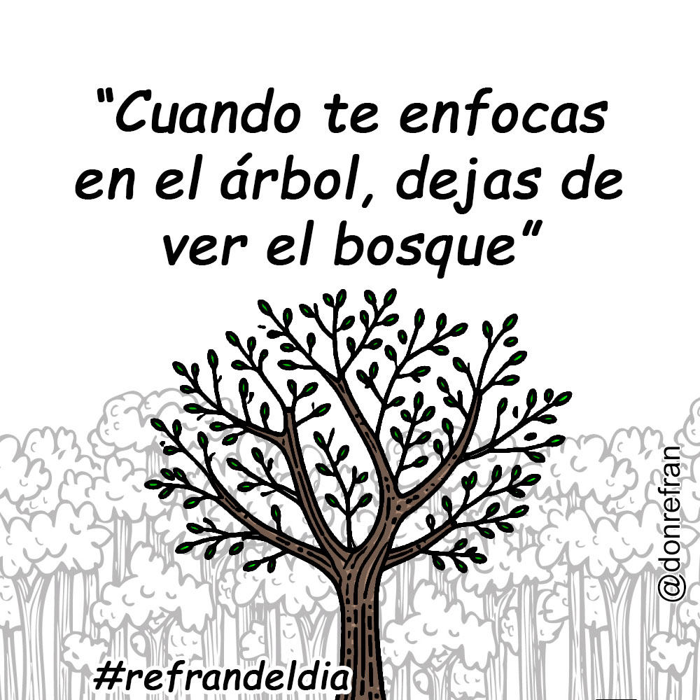 “Cuando te enfocas en el árbol, dejas de ver el bosque”