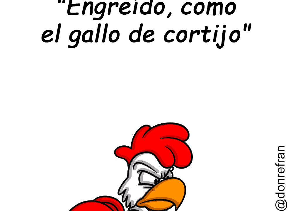 "Engreído como el gallo de cortijo"