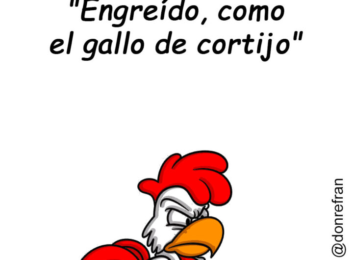 "Engreído como el gallo de cortijo"