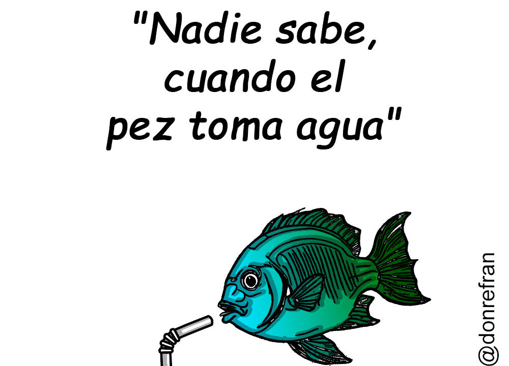 "Nadie sabe, cuando el pez toma agua"