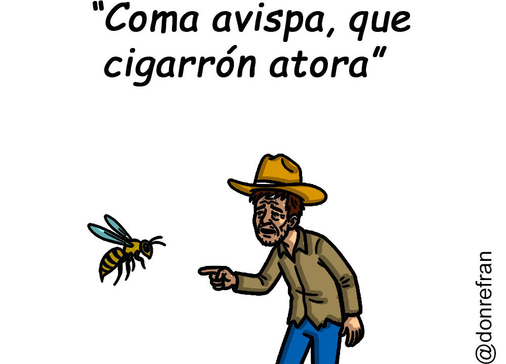 “Coma avispa, que cigarrón atora” 