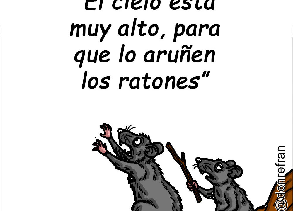 “El cielo esta muy alto, para que lo aruñen los ratones”