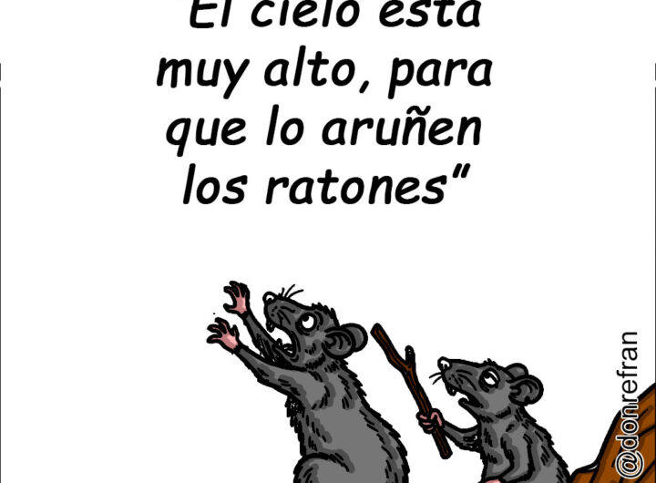 “El cielo esta muy alto, para que lo aruñen los ratones”