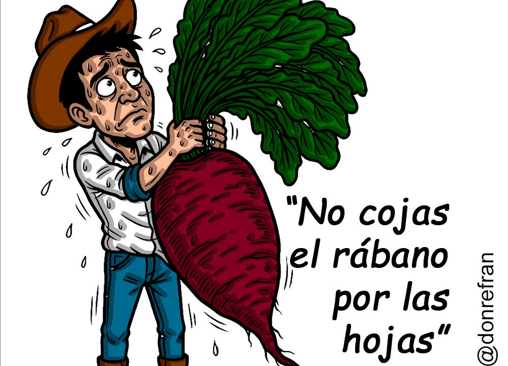 “No cojas el rábano por las hojas”
