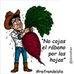 “No cojas el rábano por las hojas”