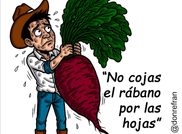 “No cojas el rábano por las hojas”