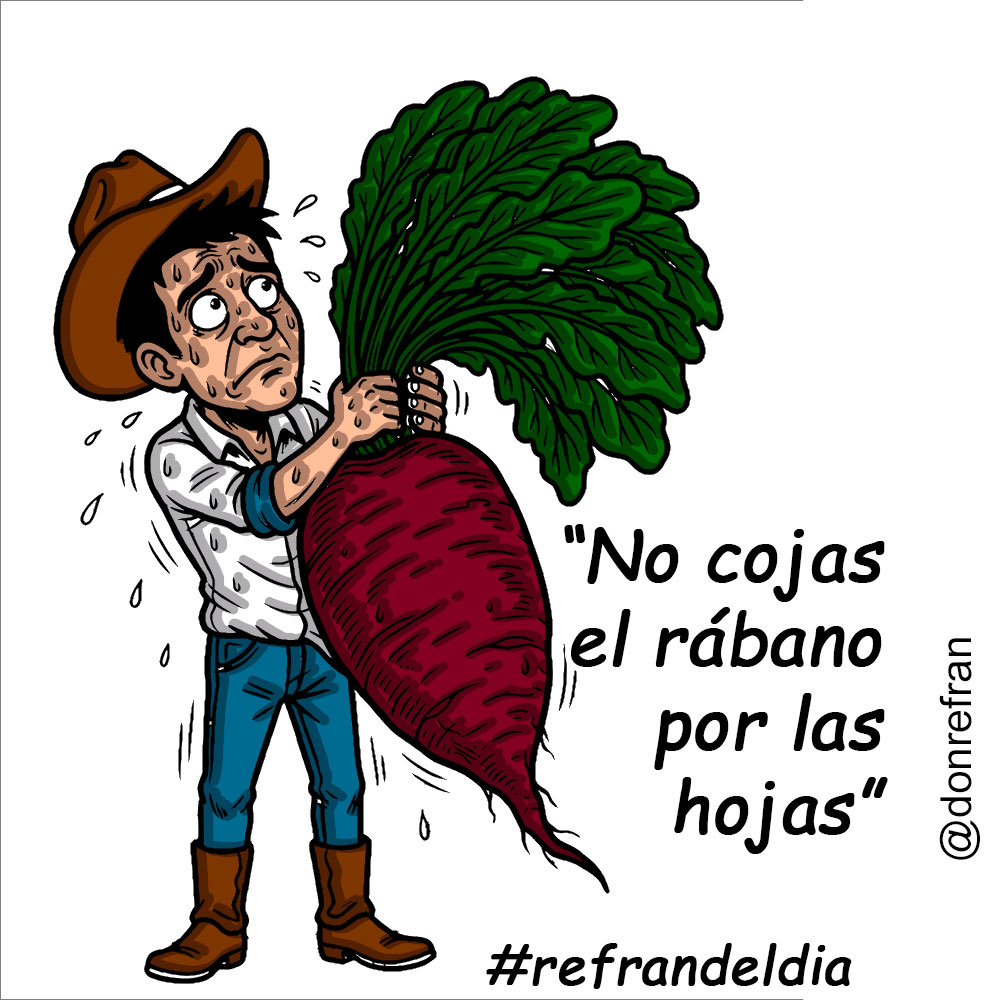 “No cojas el rábano por las hojas”