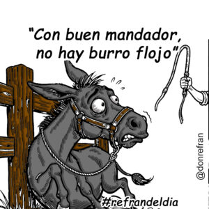 “Con buen mandador, no hay burro flojo”