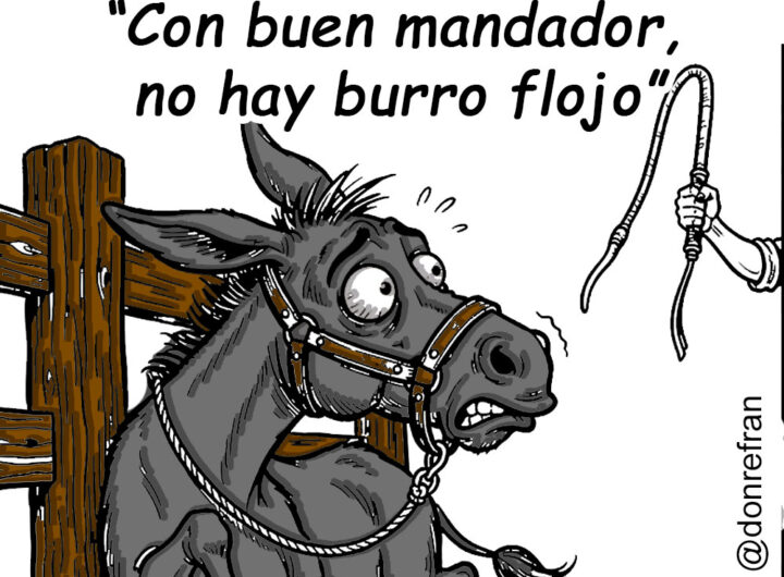 “Con buen mandador, no hay burro flojo”